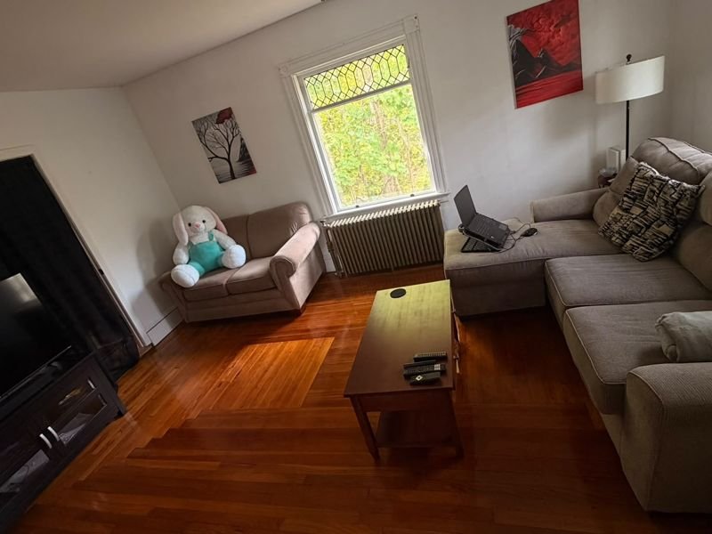 Living room after cleaning